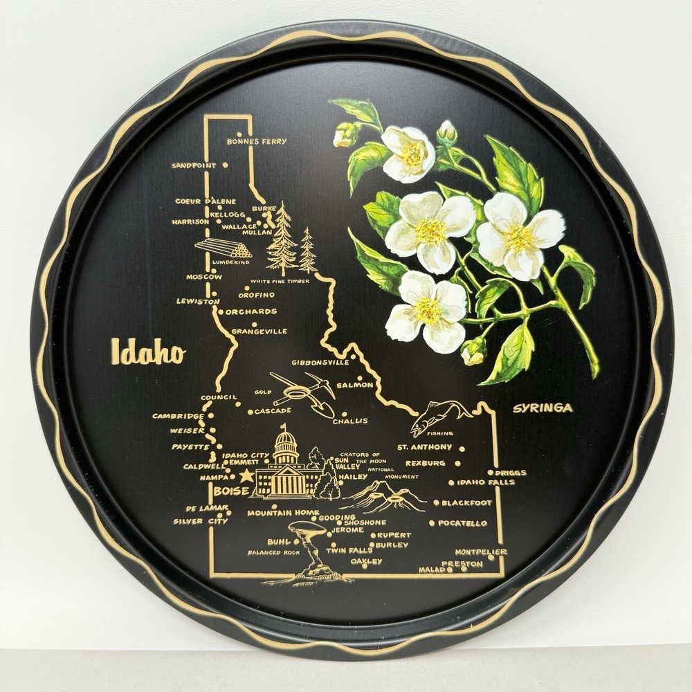 Vintage Idaho State Tray MCM Kitschy Barware Graphic Souvenir Decor Platter
